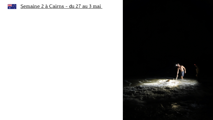 s2 - cairns